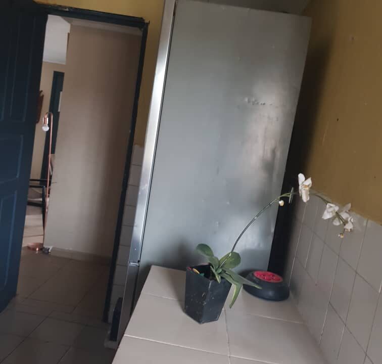 Appartement à louer à bonapriso-12