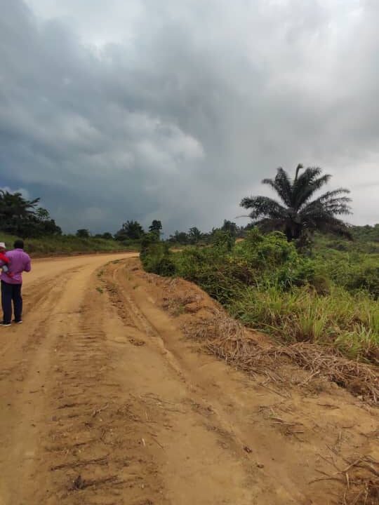 Terain titré a vendre a ngombe