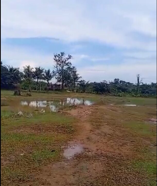 Terrain a vendre a bekoko uste derrière les routiers-1