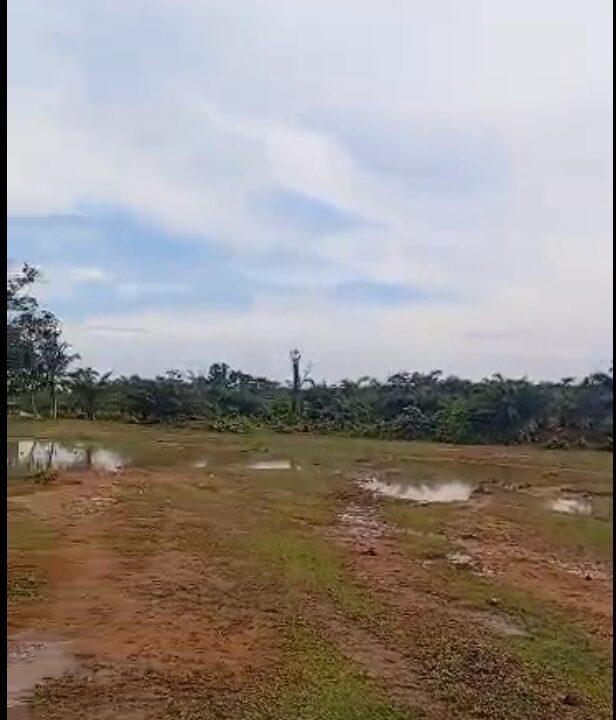 Terrain a vendre a bekoko uste derrière les routiers